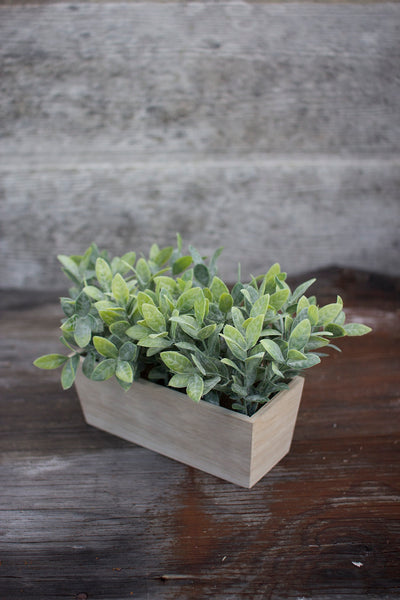 Artificial Thyme in a Wooden Planter