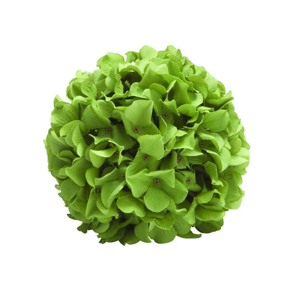 Plastic Hydrangea Ball